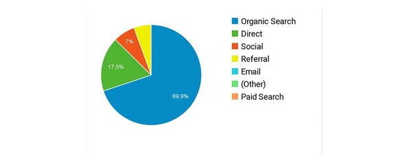 Medical Industry SEO Case Study: traffic source breakdown pie chart